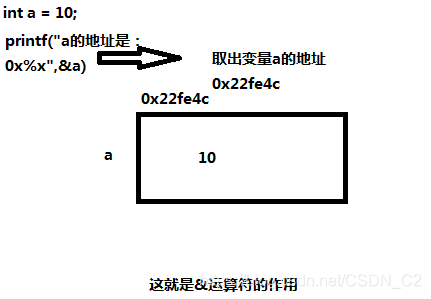 ここに写真の説明を挿入