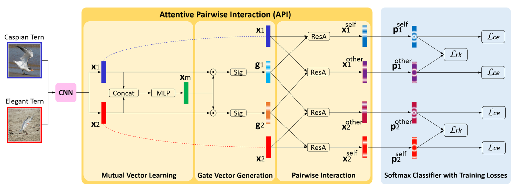 API-Net_apinet-CSDN博客