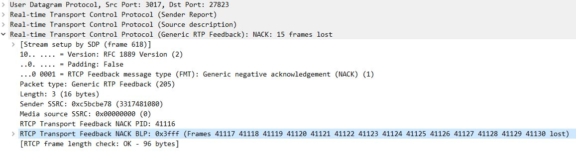 RTCP 协议的 NACK 报文