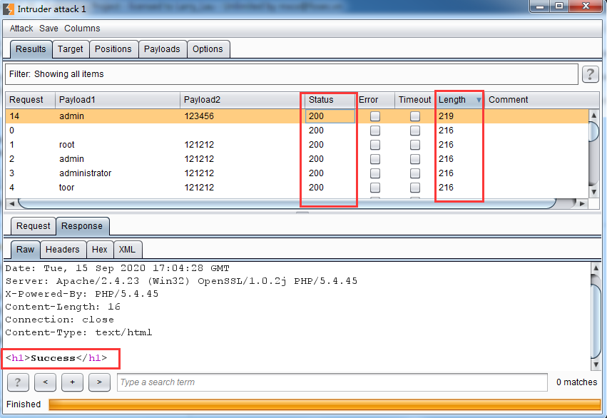 burp suite payloads