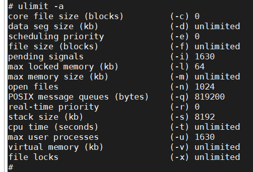 linux下Segmentation fault错误问题分析
