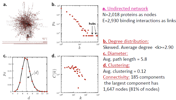 PPI网络关键参数