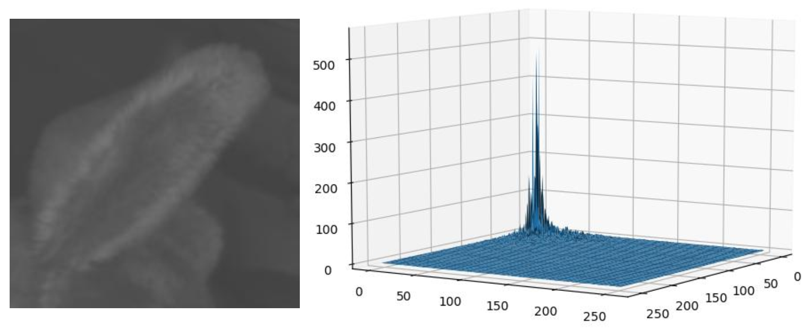 传统图像降噪算法之BM3D原理详解