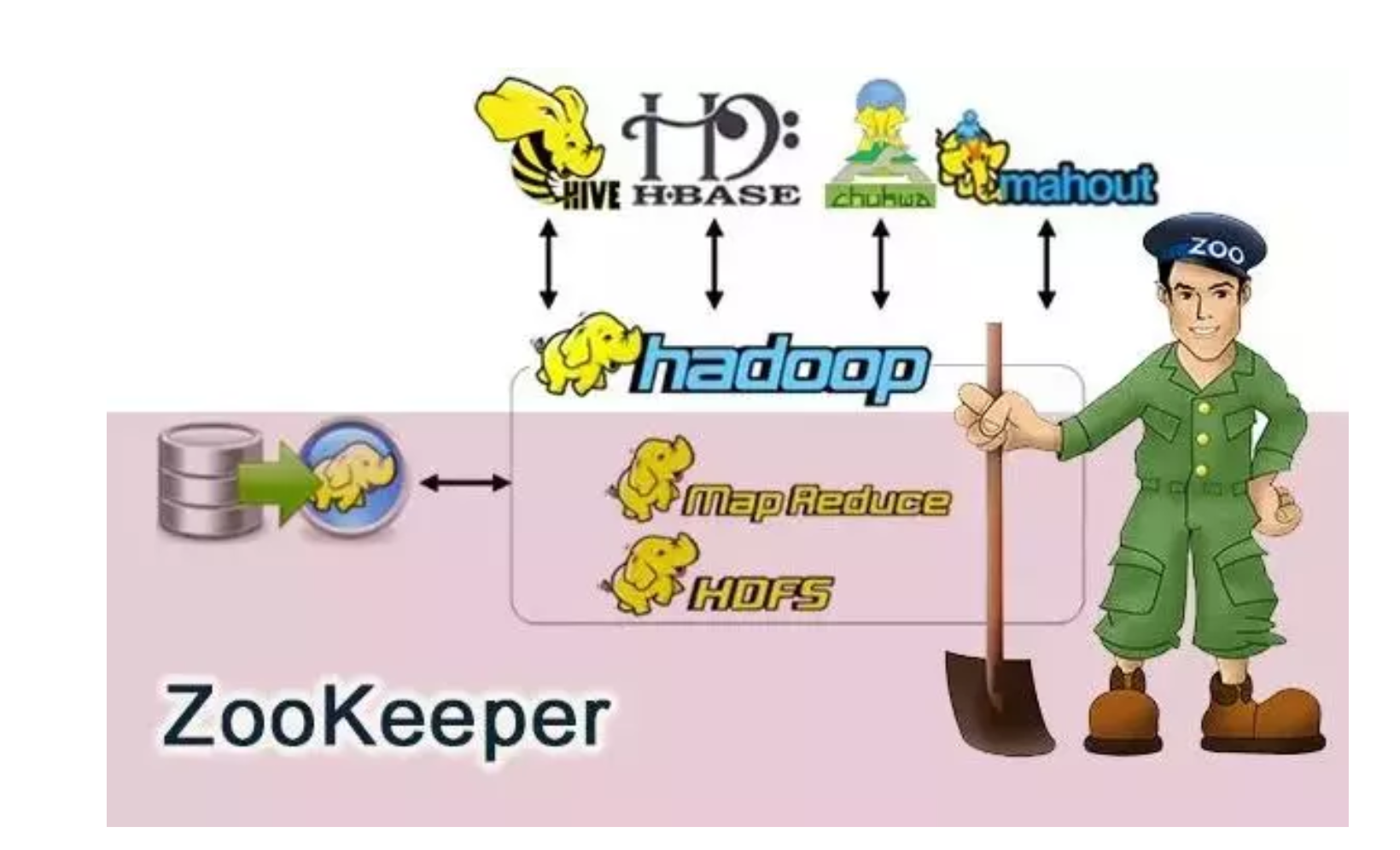 Zookeeper（动物园管理员）为什么需要他？分布式协调系统