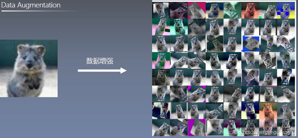 神经网路-深度学习天气识别数据集