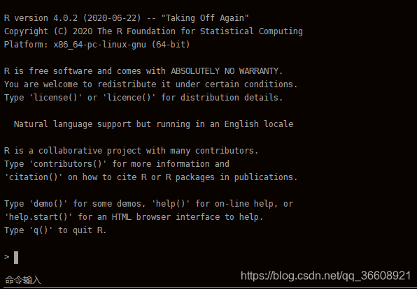 R语言Linux环境基于docker安装(在线、离线两种方式)_docker上安装最新版r语言环境-CSDN博客