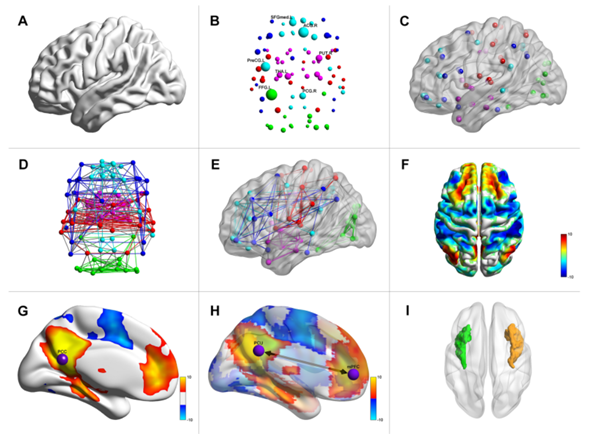 BrainNet Viewer使用说明和画图实践-CSDN博客