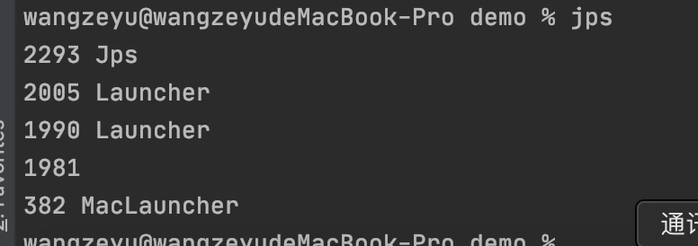 jps显示当前所有java进程pid