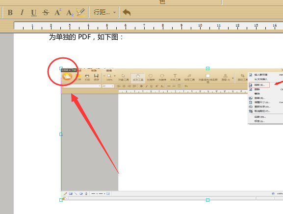 pdf图片大小怎样调整?