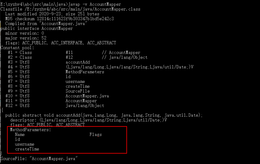 Parameter获取实际参数名 -parameters_-parameters 参数真实名称-CSDN博客