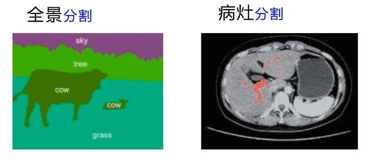 在這裡插入圖片描述