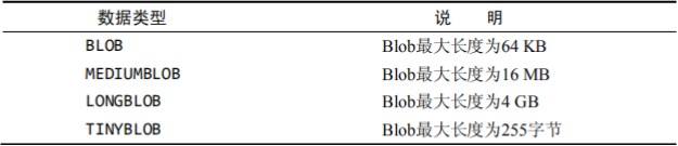 二进制数据类型