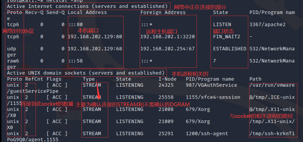 linux查看端口