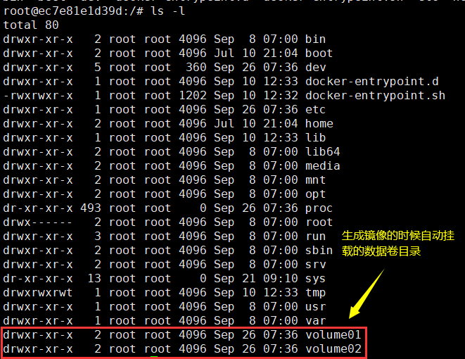 Docker 使用超详细 （精通级） 