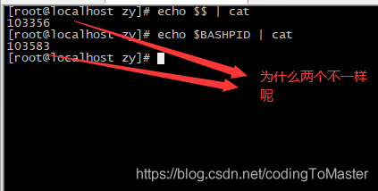 内存与IO,磁盘IO,网络IO