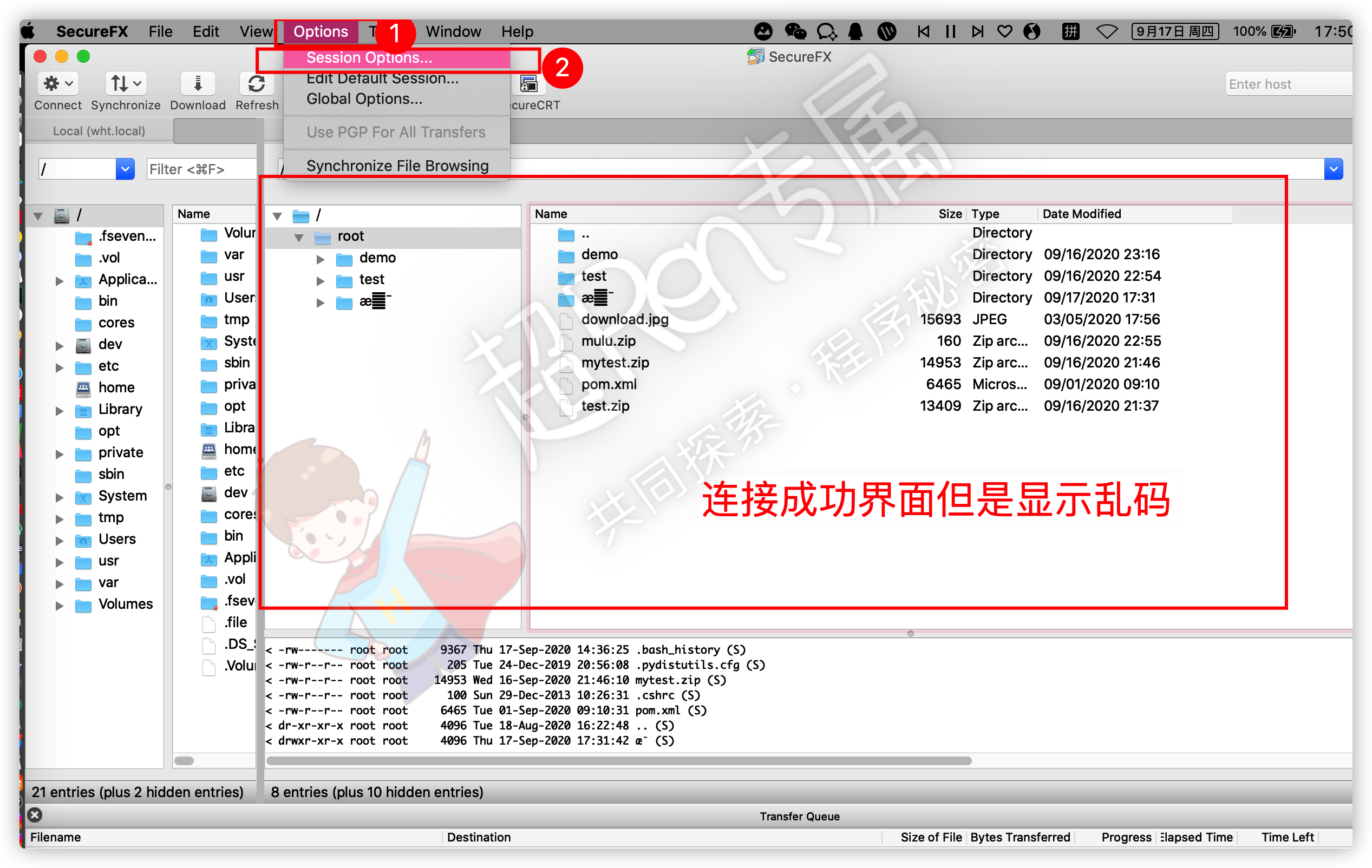 解决 SecureCRT 和 SecureFX 中文乱码 