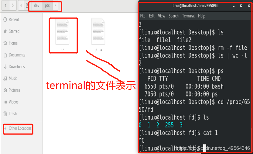 三 Linux中的输入输出管理 小代灬的博客 Csdn博客 三 Linux中的输入输出管理 小代灬的博客 Csdn博客