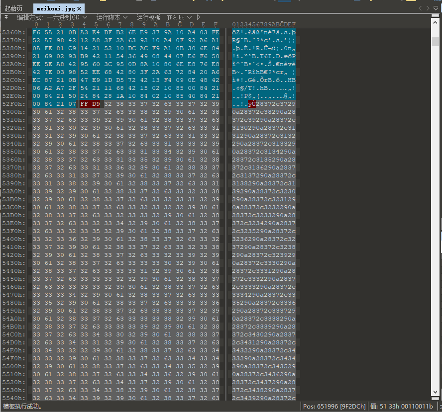 Buuctf 梅花香自苦寒来 末初mochu7的博客 Csdn博客 Buuctf 梅花香之苦寒来