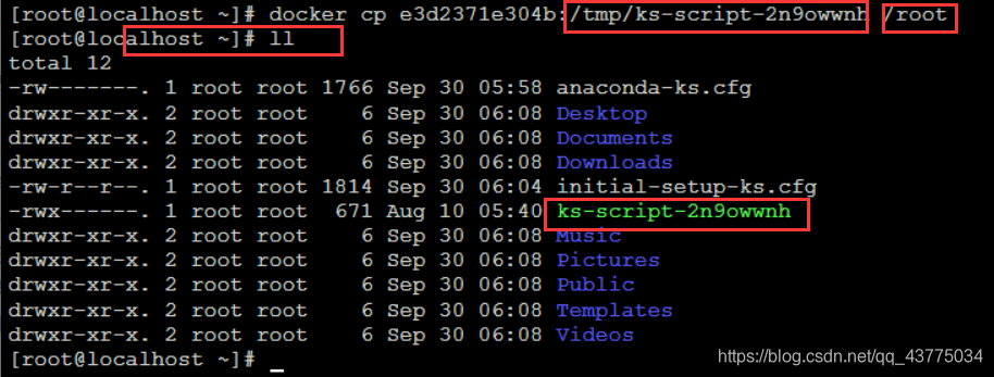 Copy the files in the container to the host machine