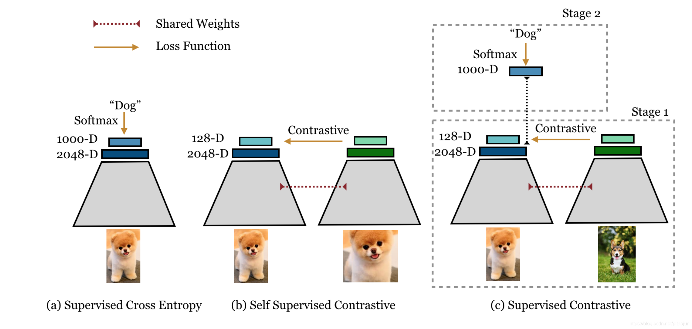 Supervised Contrastive Learning_co-tuning for transfer ...