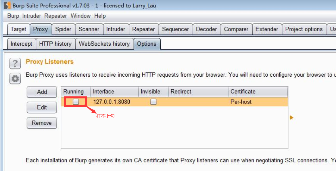 Burp suite 127 0 0 1 8080 invalid client request received