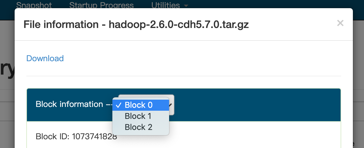 【快速入门大数据】hadoop和它的hdfs、yarn、mapreduce瑞新の博客：bennyrhys-