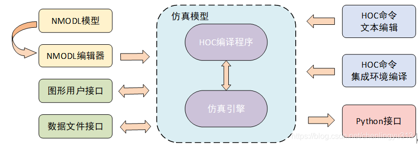 图1　NEURON软件结构图描述