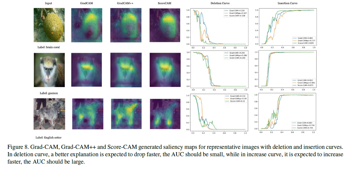 笔记：ScoreCAM ScoreWeighted Visual Explanations for Convolutional