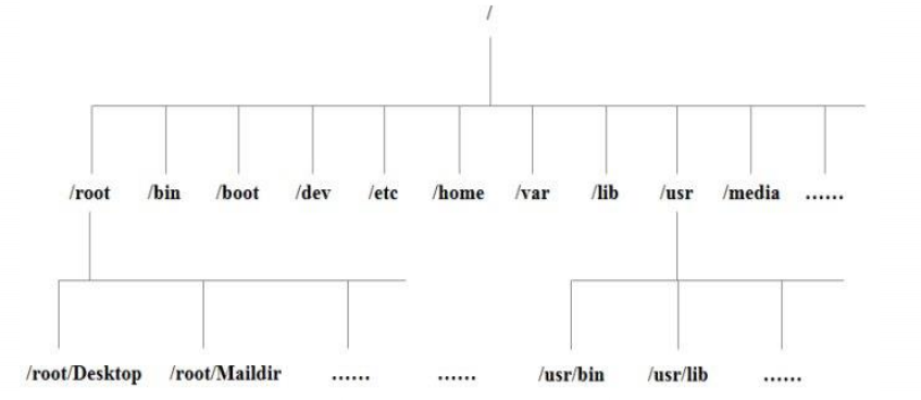 Linux系统目录树结构