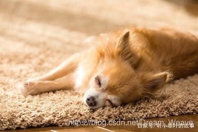犬心犬意 狗为什么会趴在地板上睡觉 不怕着凉吗 活久见 牧码的博客 Csdn博客 犬心犬意 狗为什么会趴在地板上睡觉 不怕着凉吗 活久见 牧码的博客 Csdn博客