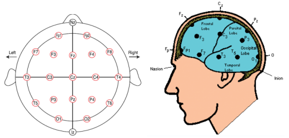 robotic tms(一):tms(经颅磁刺激)介绍