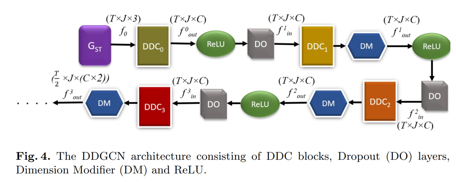 DDGCN: A Dynamic Directed Graph Convolutional Network for Action ...