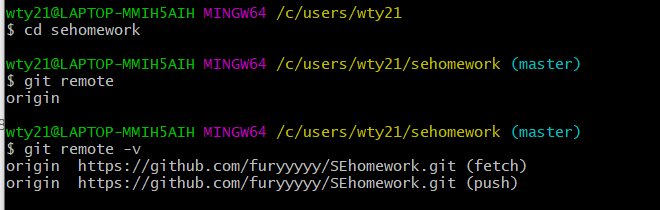 查看克隆后本地仓库
