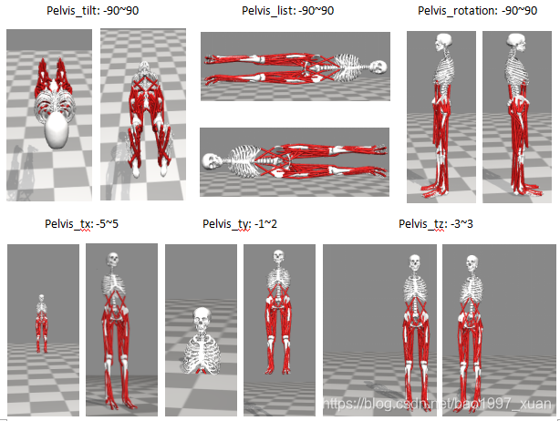 Opensim教程1-骨骼肌肉建模入门_bao1997_xuan的博客-CSDN博客_opensim教程