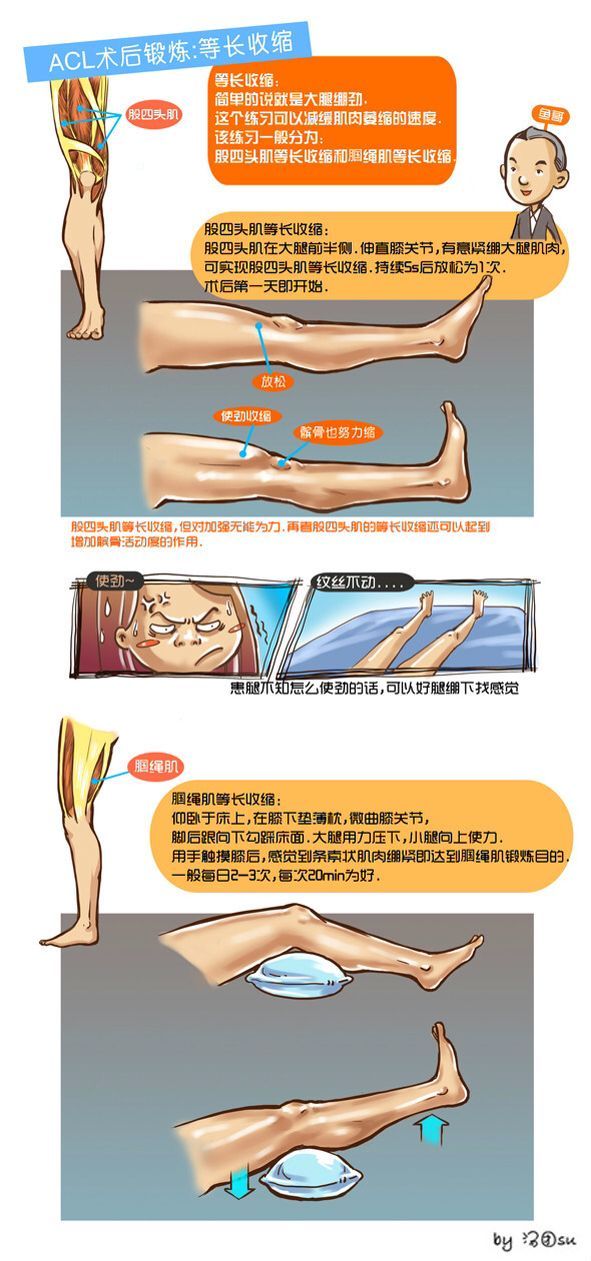 前交叉韧带重建术后康复指南 Orion W的博客 Csdn博客 前交叉韧带重建术后康复指南 Orion W的博客 Csdn博客