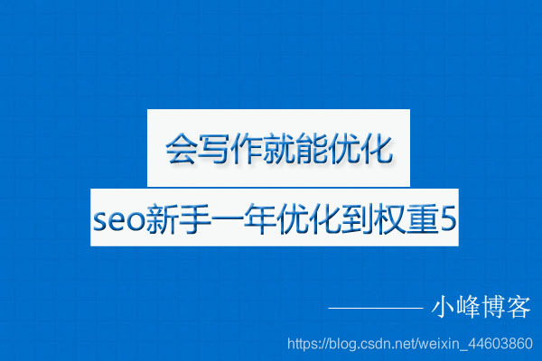 seo项目，会写作就能优化，seo新手一年优化到权重5