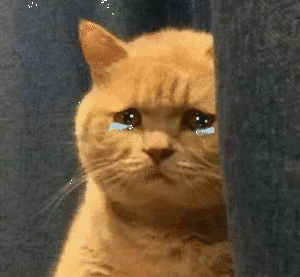 流泪猫猫