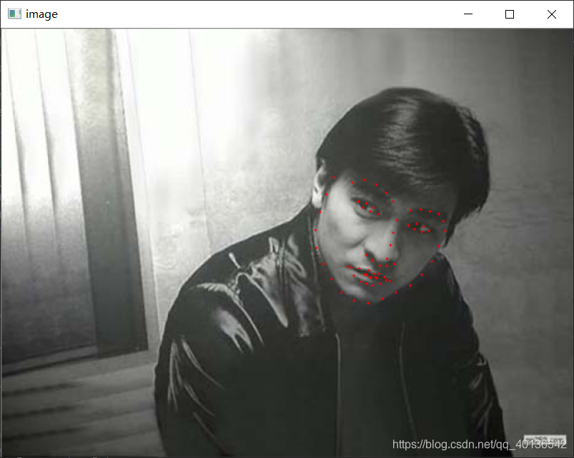 人脸特征点检测效果图