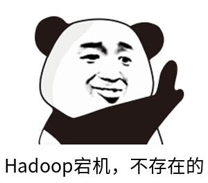 大数据面试杀招——Hadoop高频考点，正在刷新你的认知！Alice菌的博客-