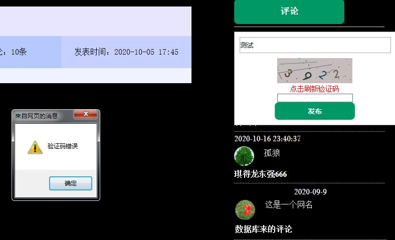 效果展示2