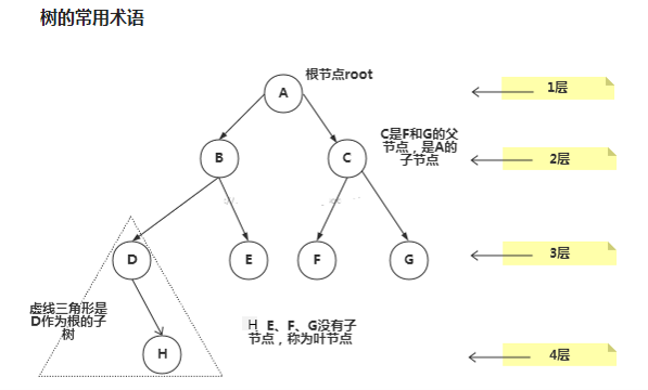 java中二叉树的遍历_java中序遍历二叉树