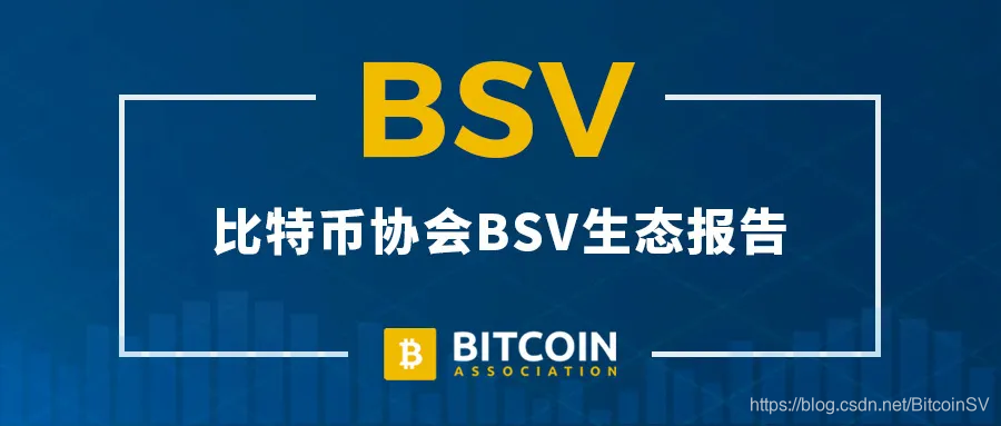 比特币协会 BSV 生态报告：2021 年 2 月