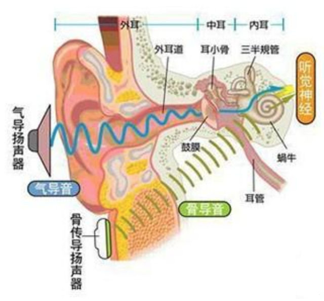 声音背后的原理