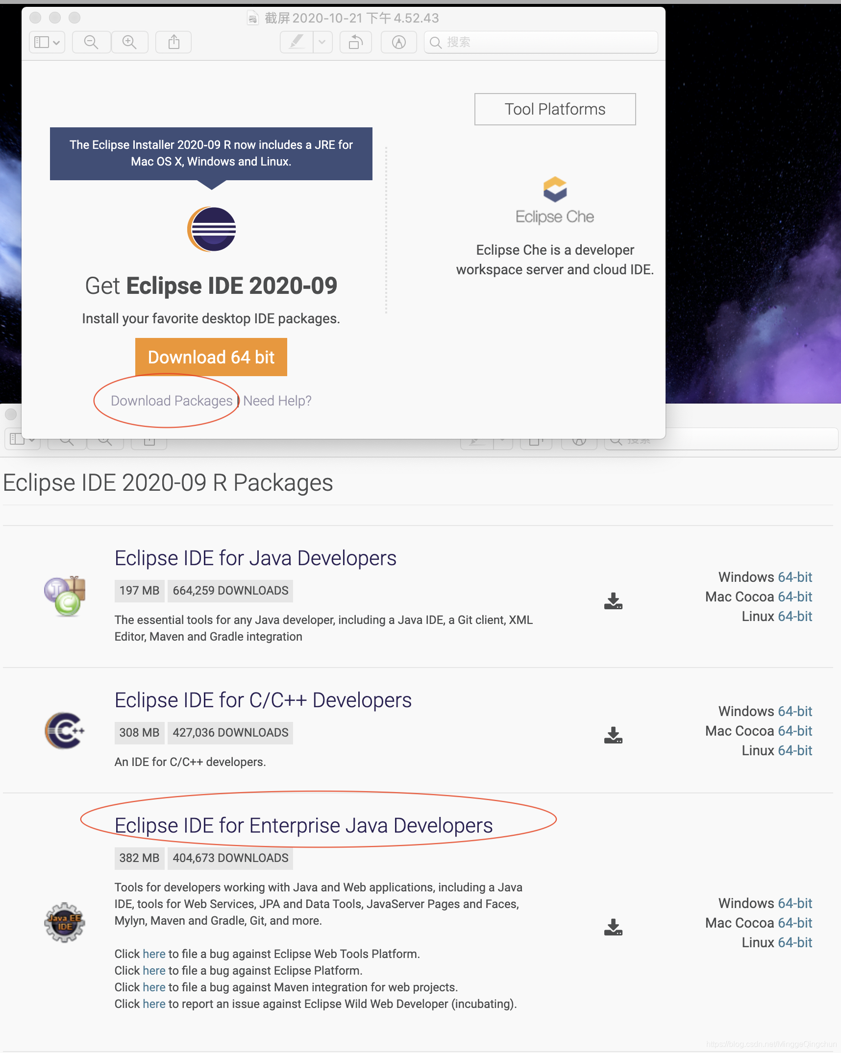Java--Eclipse里没有“Dynamic Web Project“这个选项_eclipse dynamite java 在哪-CSDN博客