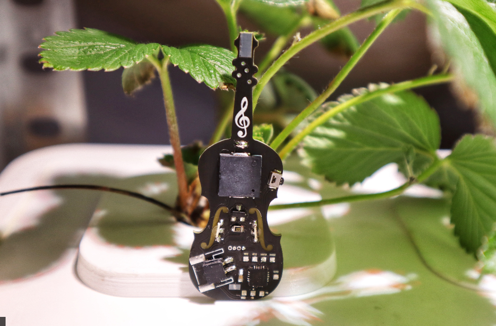 ▲ 不知道是你装点了风景?还是风景装点了你