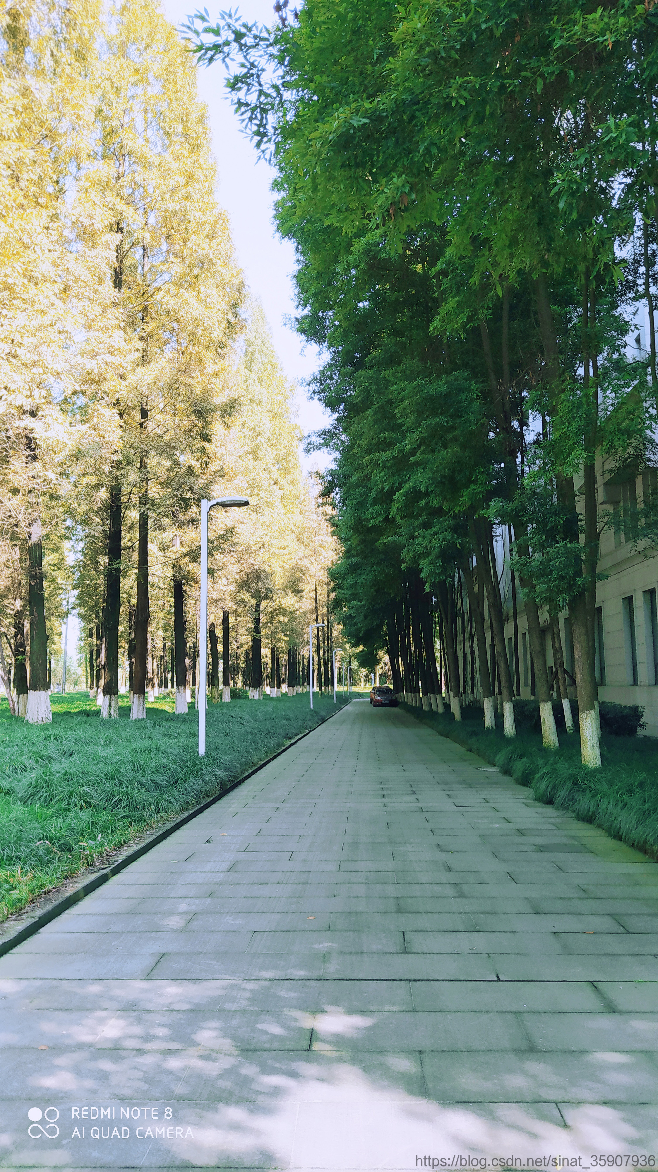 电子科技大学清水河校区高清美图