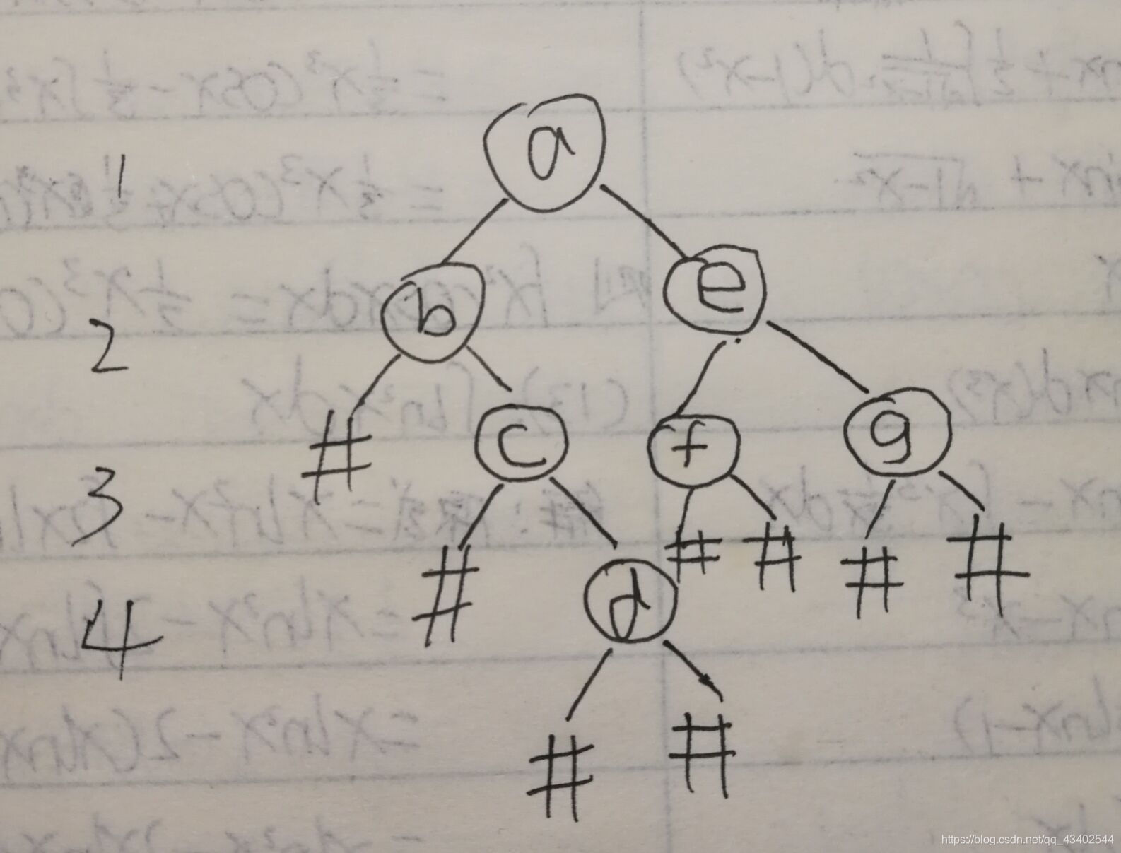 C语言 创建二叉树及对二叉树的操作
