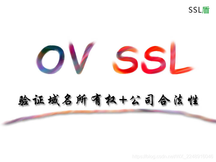 OV SSL证书适合的网站