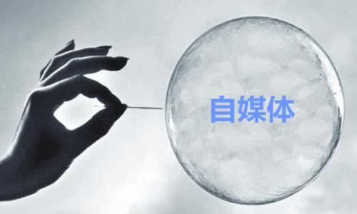 添加图注（不超过50字）编辑