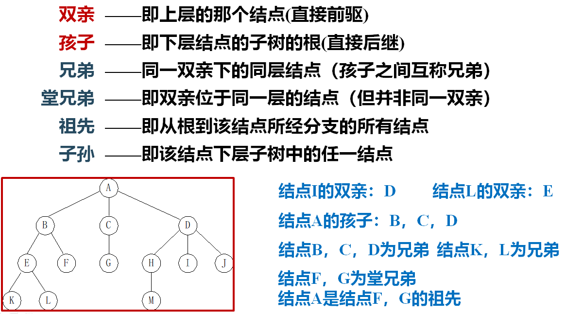 【数据结构——树与二叉树】m046518461的博客-